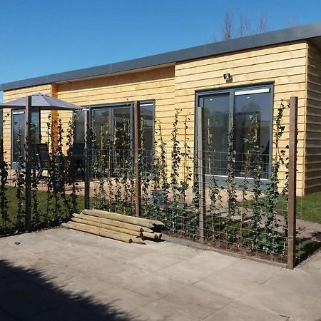 Luxe Vakantie Bungalow Met 3 Slaapkamers Dronrijp Екстериор снимка